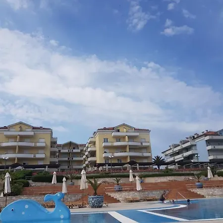 With A Sea View In Skiper *